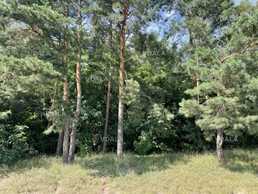 Продам земельна ділянка 0,25 га. Ясногородка, Київська обл. - VDALA.PRO