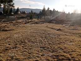 Продам гектар землі Продам гектар землі - VDALA.PRO