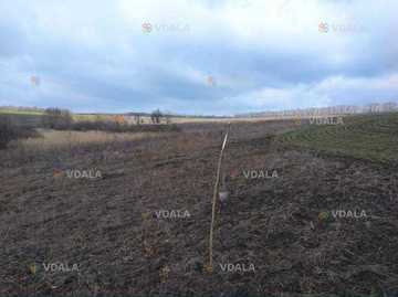 Продам Коммерческая недвижимость Земельный участок. Продам Коммерческая недвижимость Земельный участок. - VDALA.PRO