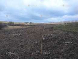 Продам земельну ділянку загальною площею 14 га. (7 ділянок по 2 га) Продам земельну ділянку загальною площею 14 га. (7 ділянок по 2 га) - VDALA.PRO