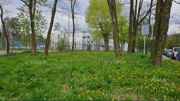 Продам Земельна ділянка 40 га. Продам Земельна ділянка 40 га. - VDALA.PRO