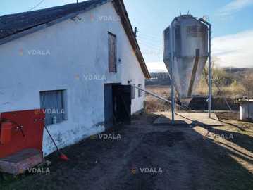 Продається відгодівельний комплекс для свиней, 3500 м². Продається відгодівельний комплекс для свиней, 3500 м². - VDALA.PRO