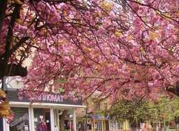 Продається комерційне приміщення, 56 м². Продається комерційне приміщення, 56 м². - VDALA.PRO