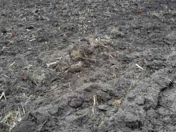 Продам Земельна ділянка 50000 га. Продам Земельна ділянка 50000 га. - VDALA.PRO