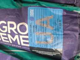 Насіння соняшника НС Х 6045** екстра - VDALA.PRO