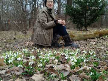 Озеленитель - дизайнер, садовник, консультант - VDALA.PRO