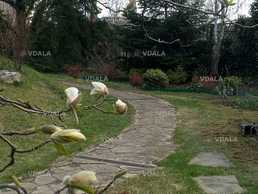 Послуги садівника - VDALA.PRO