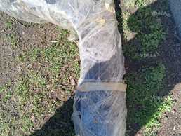 Крило пер. пра. Daewoo Nubira II 99-04 Крило пер. пра. Daewoo Nubira II 99-04 - VDALA.PRO