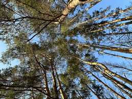 Продам Земельна ділянка 0.10 га. - VDALA.PRO