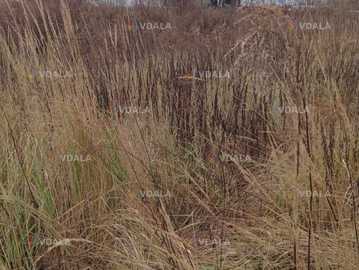 Продам Земельна ділянка 0.03 га. Продам Земельна ділянка 0.03 га. - VDALA.PRO