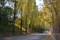 Продам Земельна ділянка 0.10 га. - VDALA.PRO