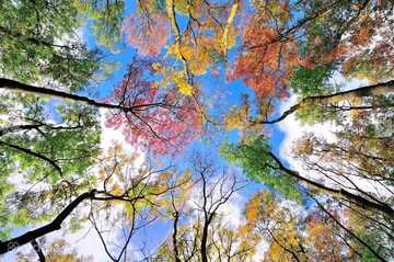 Няня, допомога по дому, клінінг - VDALA.PRO