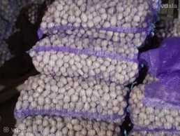 Насінева картопля - VDALA.PRO