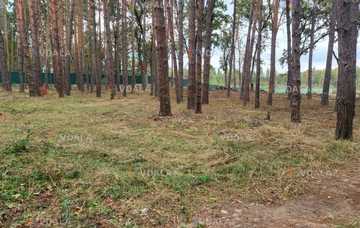 Продам земельну ділянку 1,125 га. - VDALA.PRO