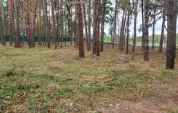 Продам земельну ділянку 1,125 га. - VDALA.PRO