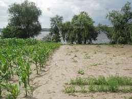 Продам Дом 67 м², 4 комн., 1 этаж, 67 м², 67 м². - VDALA.PRO