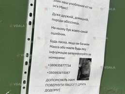 Помогите найти кота - VDALA.PRO