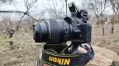 Nikon D3100 Новий 390- Пробіг+Сумка+SD дзеркальний фотоапарат дзеркалк - VDALA.PRO - 6