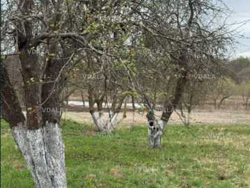 Продається ділянка з виходом до річки 0,25 га. Продається ділянка з виходом до річки 0,25 га. - VDALA.PRO