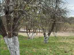 Продається ділянка з виходом до річки 0,25 га. - VDALA.PRO