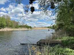 Продажа дома с участком 2 комн., 1 этаж, 46 м². - VDALA.PRO