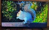 Телевізор Xiaomi Mi TV P1 55 - VDALA.PRO - 2