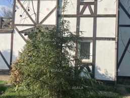 Сдам дом 8 комн., 3 этаж, 240 м². - VDALA.PRO