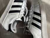 Adidas superstar - VDALA.PRO