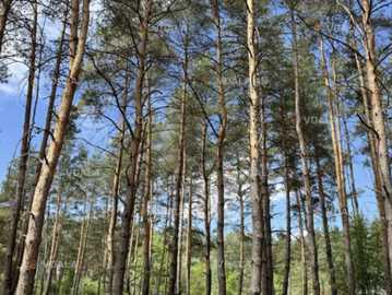 Продам земельну ділянку 0,1250 га. - VDALA.PRO