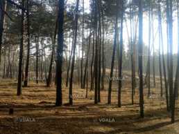 Продам земельну ділянку 0,12 га. - VDALA.PRO