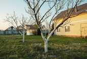 Здам будинок 2 кімн., 2 поверх, 65 м². - VDALA.PRO - 3