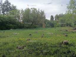 Продам Земельна ділянка 25 га. - VDALA.PRO