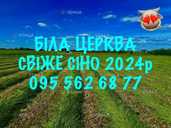 Продаємо сіно в любих об'ємах від виробника!!! Сіно лугове, Покіс 2024 - VDALA.PRO