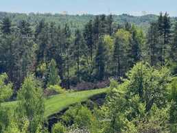 Продам земельну ділянку 100 га. Продам земельну ділянку 100 га. - VDALA.PRO