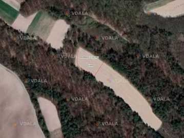 Продам земельну ділянку Брюховичі Бірки 1 гектар - VDALA.PRO