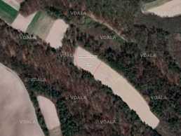 Продам земельну ділянку Брюховичі Бірки 1 гектар +38 098 0684861 - VDALA.PRO