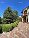 Продам будинок 6 кімн., 2 поверх, 405 м². - VDALA.PRO - 3
