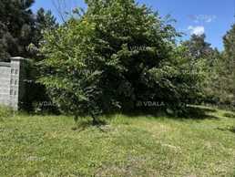 Продам земельну ділянку 0,1 га. - VDALA.PRO