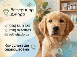 Вызов ветеринара на дом Днепр Кастрация, Стерилизация - VDALA.PRO