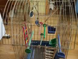 клетка для птиц - VDALA.PRO