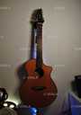 Breedlove Pursuit Concert CE 12-String - VDALA.PRO - 2