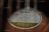 Breedlove Pursuit Concert CE 12-String - VDALA.PRO - 3