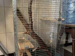 Клетка для шиншиллы Клетка для шиншиллы - VDALA.PRO