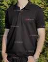 Футболка чоловіча Polo Ralph - VDALA.PRO - 2