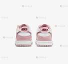 Сша! Кросівки Nike Dunk Velvet Jordan acg dn (36р по 40р) (DO6485-600) - VDALA.PRO - 5